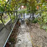Traceys 3 Lägenhet