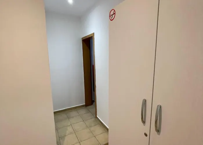 Daire Traceys 3 Borş