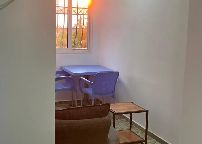 Traceys 3 Daire Borş